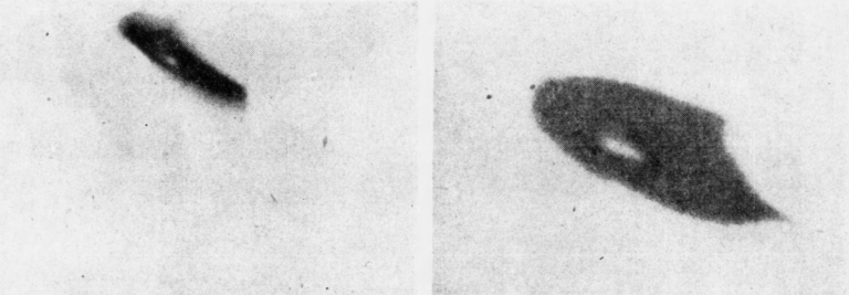 Pozorování Kennetha Arnolda (1947): zrod legendy „létajících talířů“